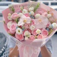 ˰ʻٵ